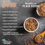 Shrutis Flax Seeds Benefits